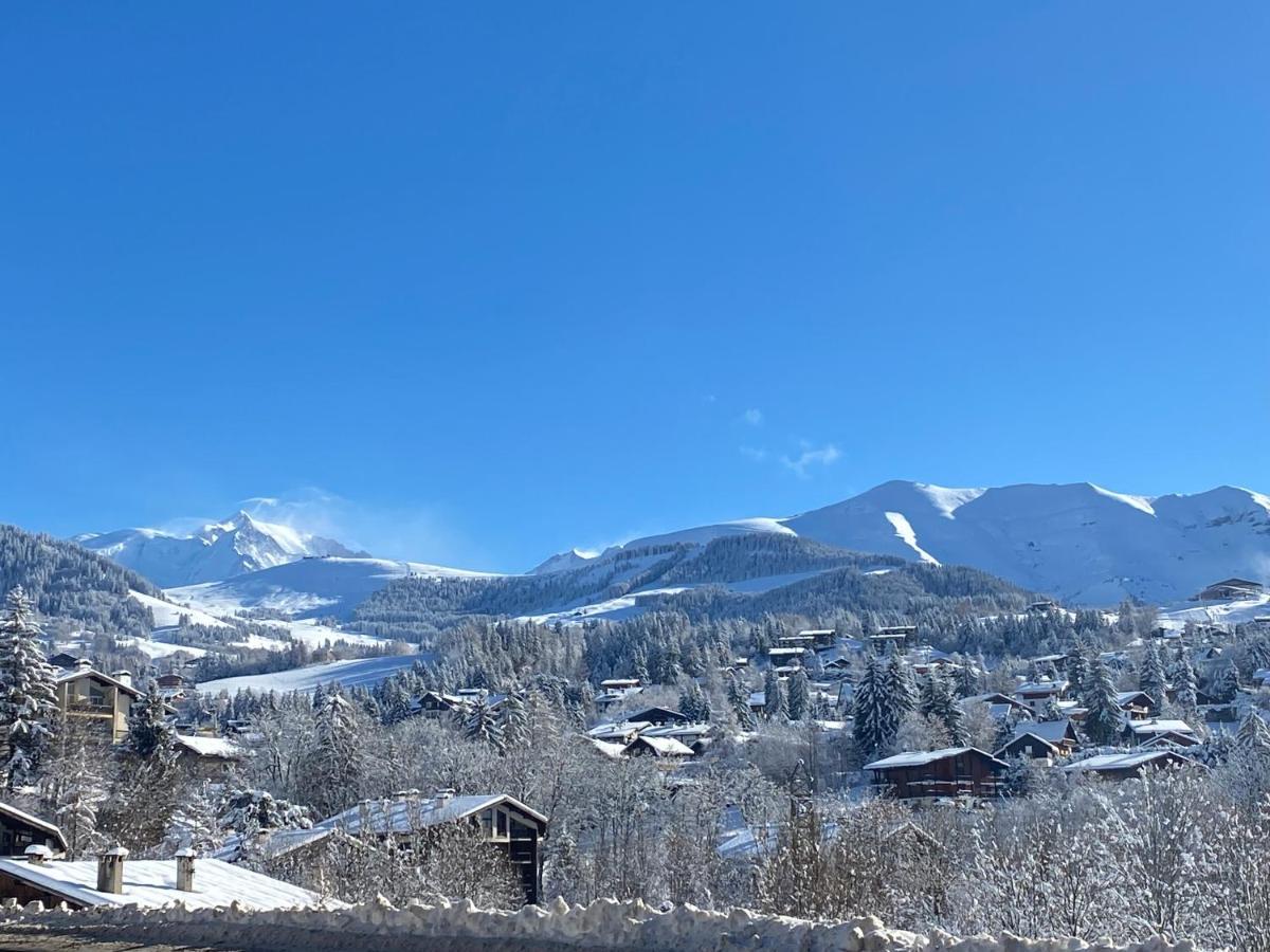 Chaleureux Appartement Renove Ambiance Chalet 프라즈쉬아를리 외부 사진