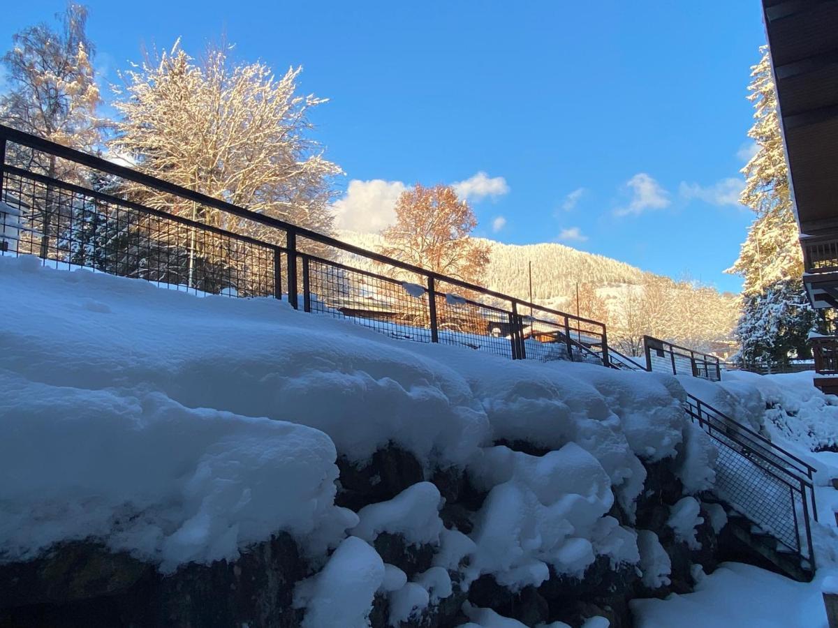 Chaleureux Appartement Renove Ambiance Chalet 프라즈쉬아를리 외부 사진
